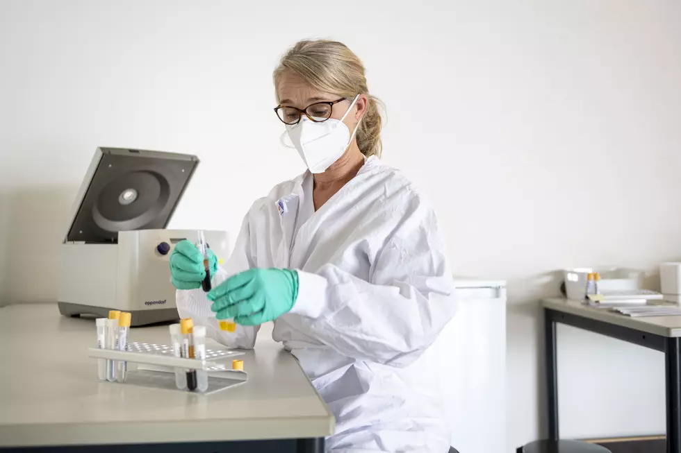 New Fat Burning Compound Could be Key to Weight Loss
