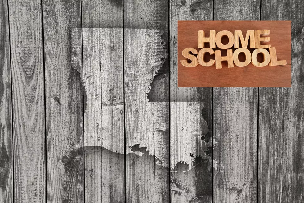 Best Louisiana Schools: Choosing Home or Public