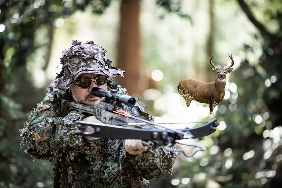 Stop Lying to Yourself: Why Your Deer Meat Costs More Than Ribeye